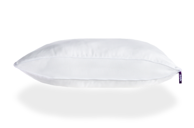 Plush Pillow Trans 2 3 Holiday Promo