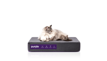 Pet Bed Cat