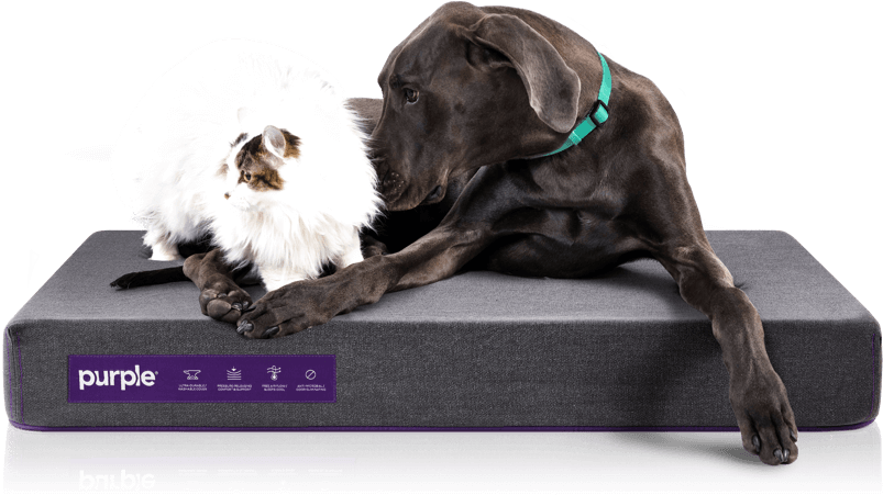 pet purple bed mattress dog beds pets friend comfort firm layer accessories pillow