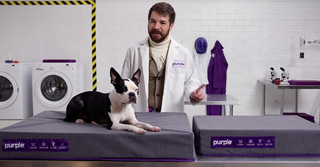 The Purple® Pet Bed: Comfort fur all.