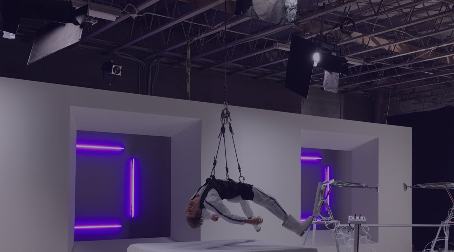 Harnessed Jimmy